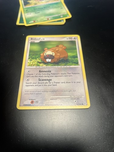 Bidoof