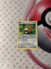 Bidoof