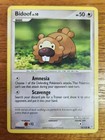 Bidoof