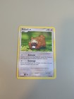 Bidoof