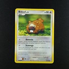 Bidoof