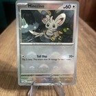 Minccino