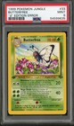 Butterfree