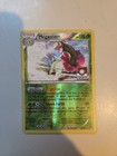 Meganium