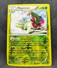 Meganium