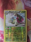 Meganium