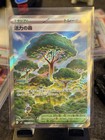 Forest of Vitality