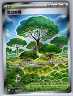 Forest of Vitality