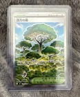 Forest of Vitality