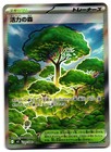 Forest of Vitality