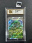 Forest of Vitality