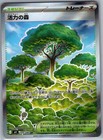 Forest of Vitality