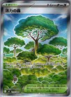 Forest of Vitality