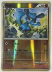 Riolu