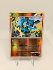 Riolu