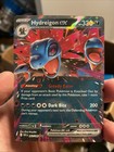 Hydreigon ex