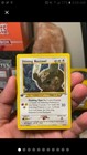 Shining Noctowl