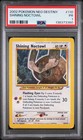 Shining Noctowl