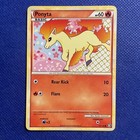 Ponyta