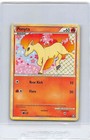 Ponyta
