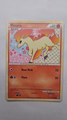 Ponyta