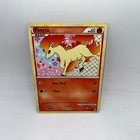 Ponyta