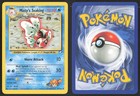 Misty's Seaking
