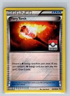 Fiery Torch