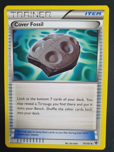 Cover Fossil