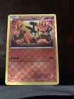 's Tepig