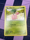 Cherubi
