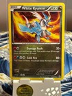 White Kyurem