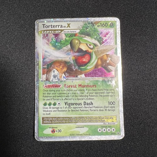 Torterra LV. X