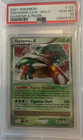 Torterra LV. X