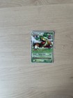 Torterra LV. X