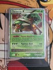 Torterra LV. X