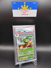 Torterra LV. X