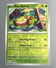Mow Rotom