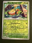 Mow Rotom