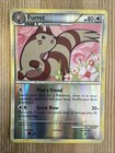 Furret