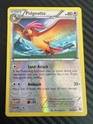 Pidgeotto