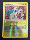 Pachirisu