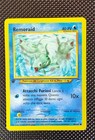 Remoraid