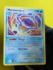 Marshtomp