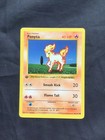 Ponyta