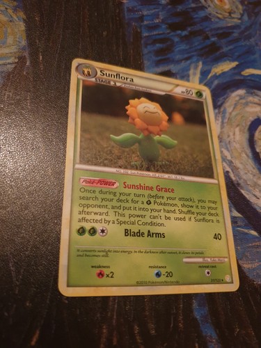 Sunflora
