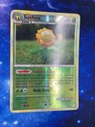 Sunflora