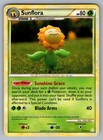 Sunflora