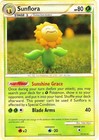 Sunflora