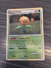 Sunflora